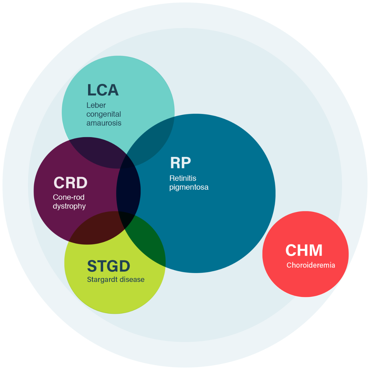 Retinitis pigmentosa (RP)